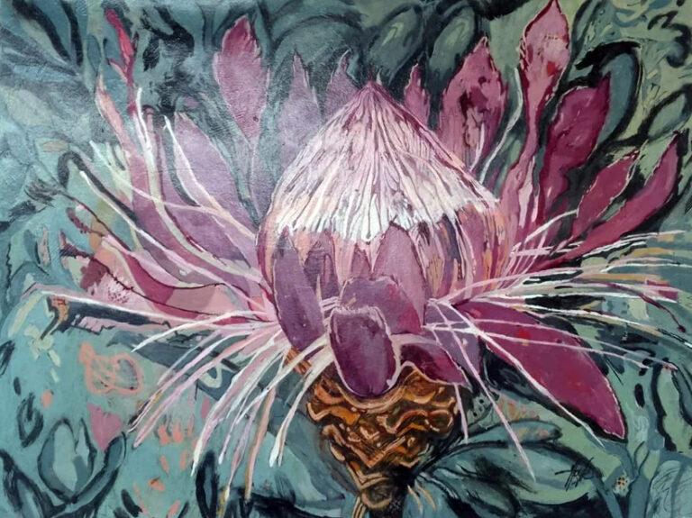 Hoyle Protea 768x575